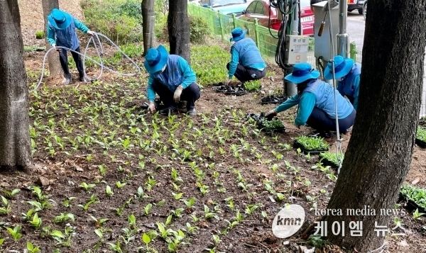 군포시 군포1동 경기행복마을관리소, 원도심 마을환경 깨끗이 단장
