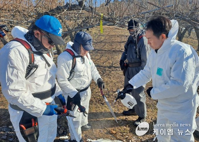 안성시농업기술센터, 동계 화상병 예방을 위한 현장교육 실시