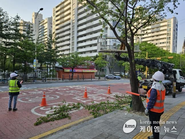 사고 예방을 위해 라바콘을 배치한 영통구 매탄동 가로수정비 작업장