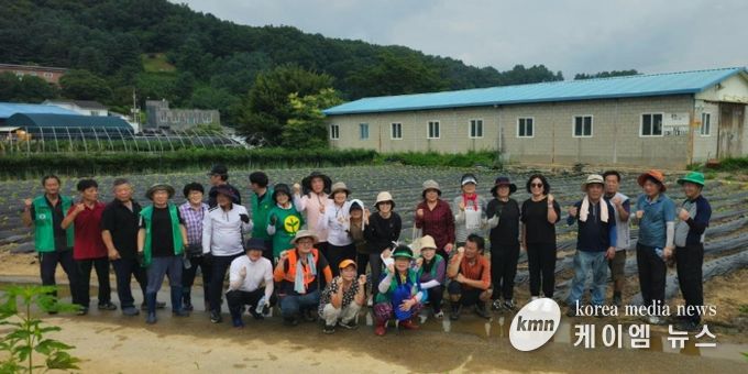 남양주시 퇴계원읍 새마을 남․여지도자협의회, 김장김치 배추 모종 심기로 이웃사랑 실천