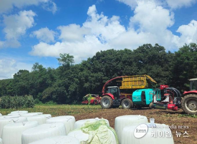 조사료 사일리지 제조 작업중인 사진