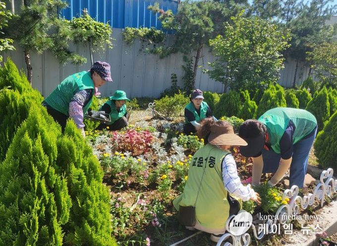 꽃으로 물든 구리시 교문1동, 주민과 함께한 가을꽃 식재