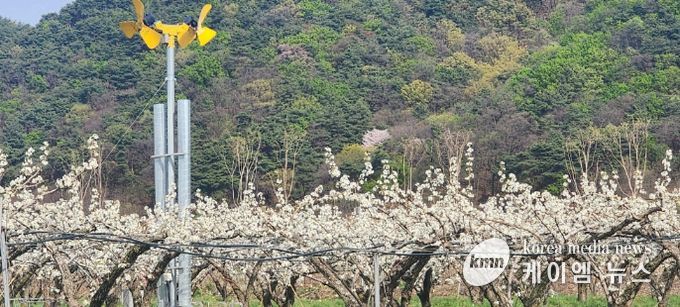 이천시, ‘2026년 지역전략작목 육성’ 공모사업 선정