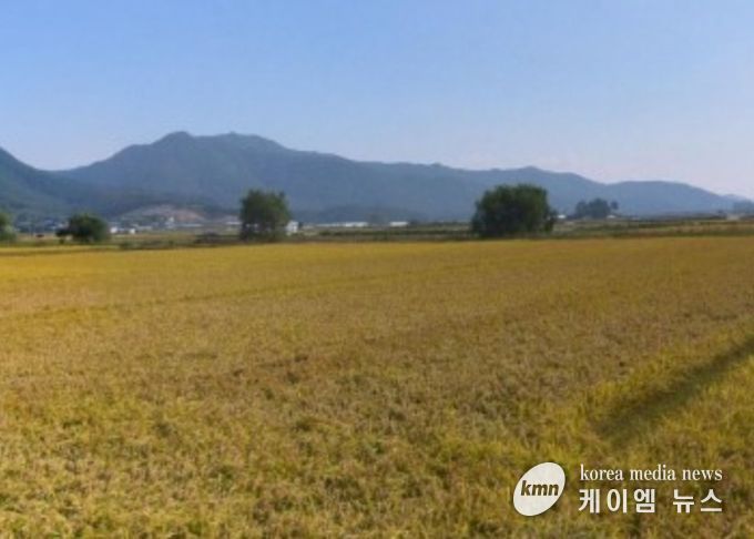 보구곶리 들녘 전경
