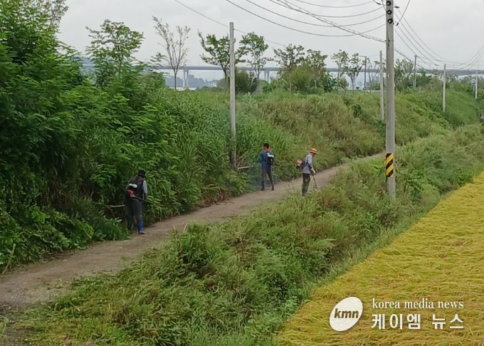 현덕면 쌀작목반, 덕목5리 하천변 도로변 제초 작업