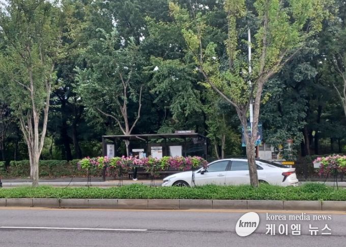 고양시 일산서구, 고양가을꽃축제 맞이 초화 식재 완료