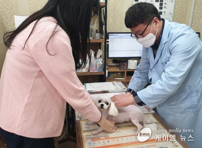 의정부시, 2025년 하반기 광견병 예방접종 지원사업 실시