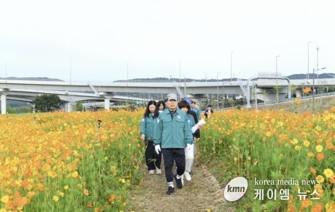 코스모스 꽃길 따라 구리로... 구리 코스모스 축제 ‘안전 점검’으로 준비 완료