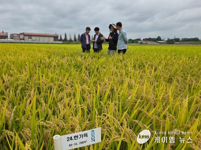 한가득 보급종자 채종포 현장점검