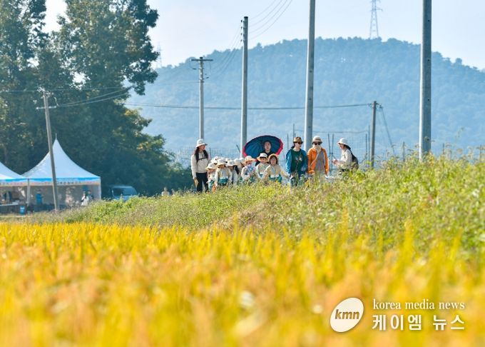 김포시는 지난 9월 26일부터 28일까지 3일간 월곶면 보구곶리 일원에서 ‘황금물결 들녘 걷기 행사’를 개최했다.