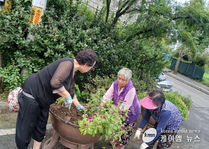 송북동, 가을꽃으로 아름다운 도심지 조성