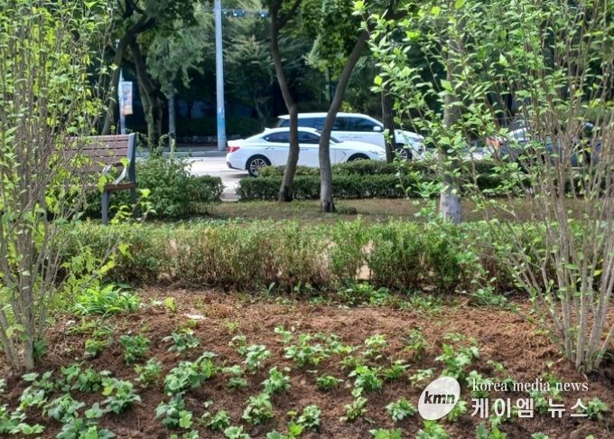 고양시 일산서구, 탄중로 녹지대 야생화 화단 조성