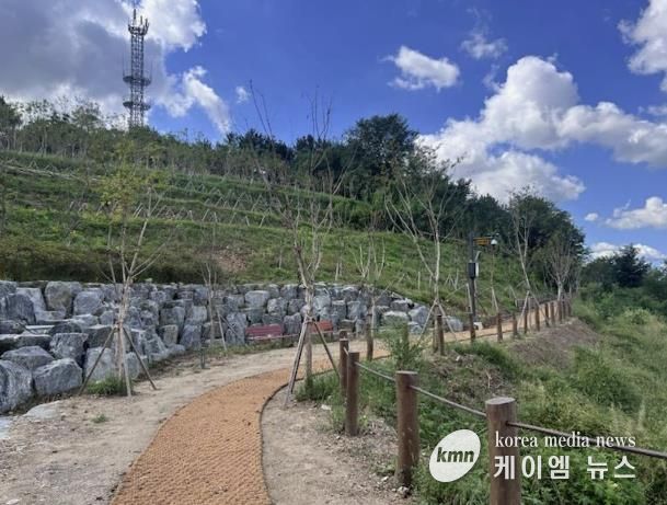 봉대미숲 산책로