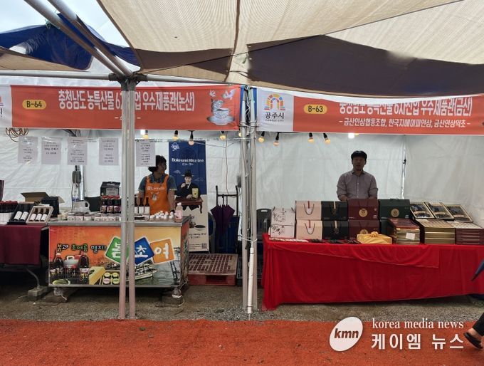 공주·부여서 행사 운영