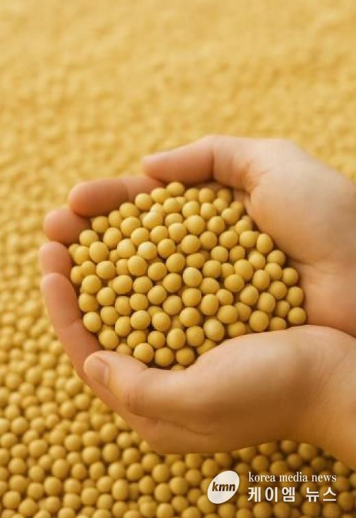 파주시, 2025년산 두류 비축 매입 실시