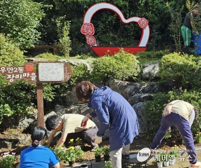 수원시 팔달구 우만2동, 가을맞이 국화 식재 추진