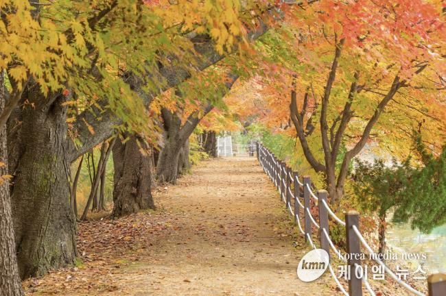 가평군, 옛 중앙내수면연구소 단풍길 16일간 개방