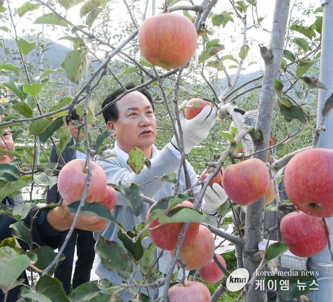 오산시, 자매도시 장수군서 ‘오산시민 장수 사과따기 체험행사’ 성황리 개최
