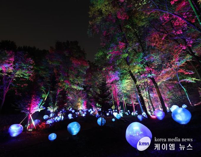 형형색색의 복사꽃 씨앗이 빛나는 도화씨 구간 전경