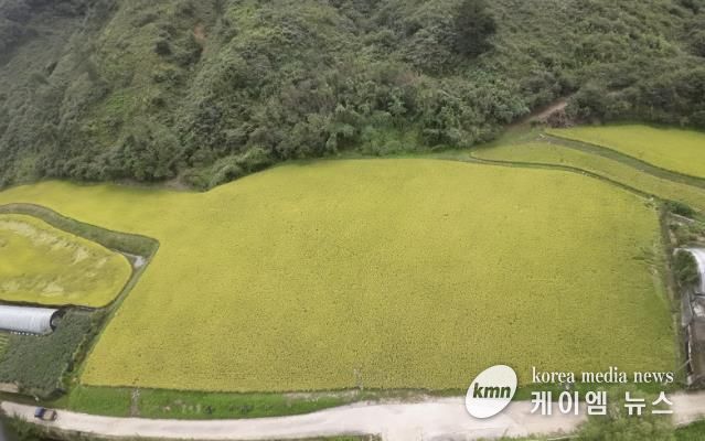 경기도 남양주시 조안면 시우리 222-3번지 일원에 있는 「구리시 관외 농지 활용 벼농사 체험장」 전경