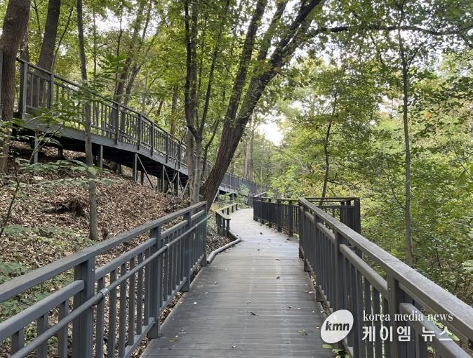 추동숲정원 데크길