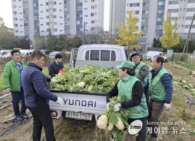 수원시 권선구 새마을지도자협의회, ‘사랑의 무’수확