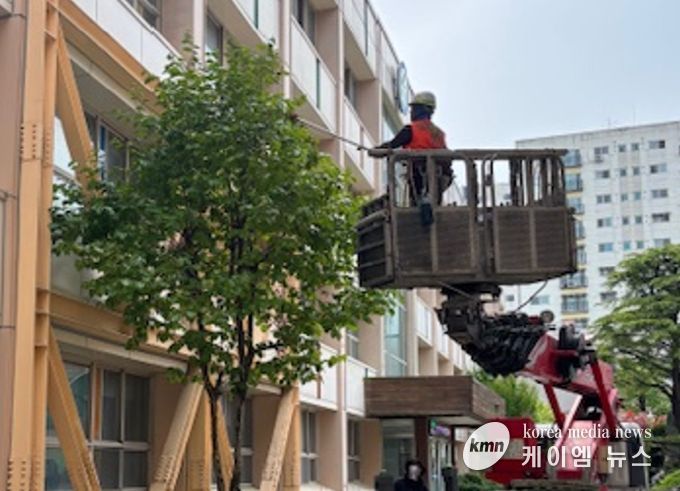 261개교 수목관리 사업