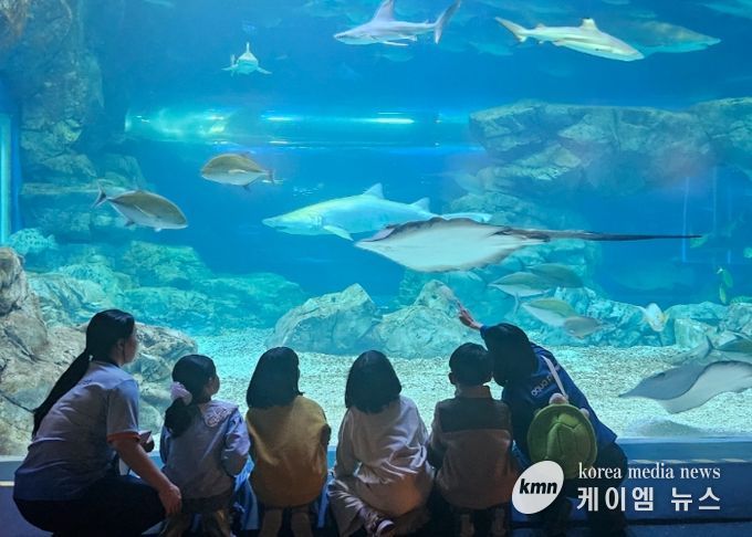 “하루에 바다를 다 체험할지니”수원 E:음 거점형 늘봄센터, 아쿠아플라넷 광교에서 해양생태 탐구 체험 운영