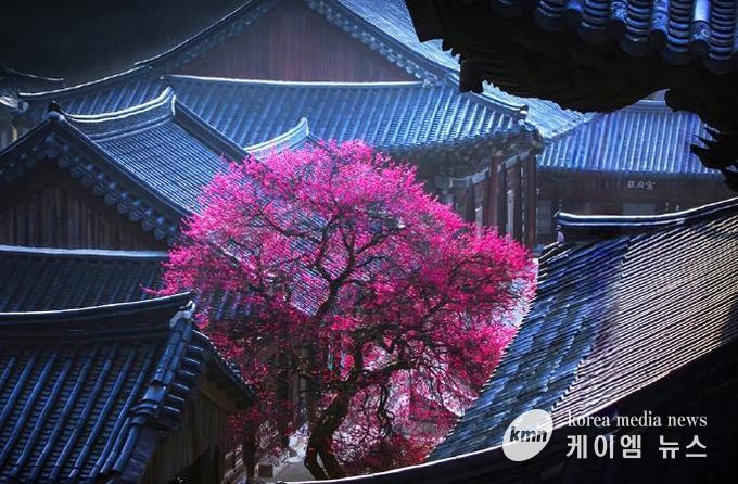 의정부시, 시민갤러리에서 제19회 (사)경기북부사진연구회 사진전 개최