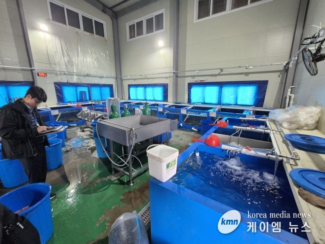 국내산 민물장어로 둔갑된 중국산 장어 현황판을 확인 중인 중부해경과 수품원 공무원