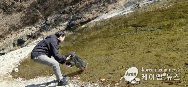 연천군, 한탄강·임진강에 토산어종 ‘다슬기’ 치어 83만 미 방류