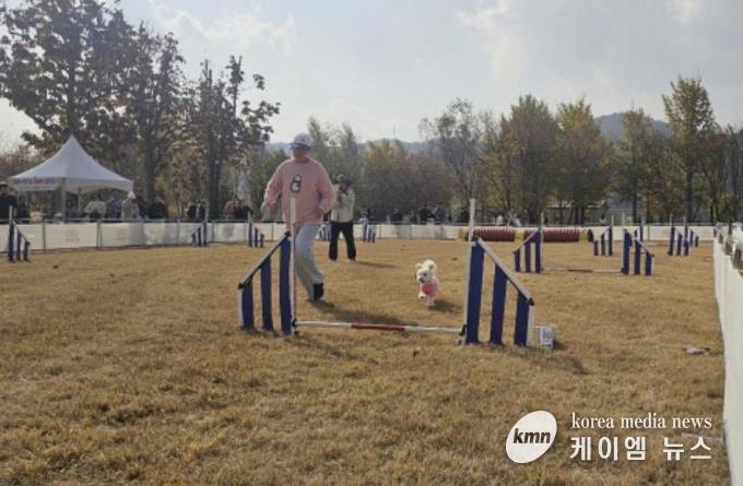 여주 강천섬 반려동반 힐링 프로그램, 반려가족 큰 호응 속 성공적 운영