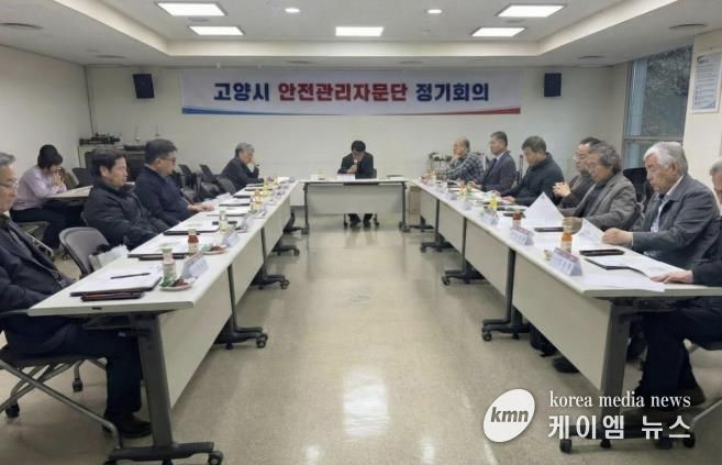 2025년 고양시 안전관리자문단 정기회의