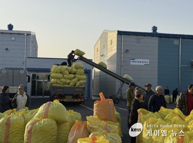 한국농협김치 연천지사, 연천군 고추 농가 대상 건고추 수매 실시