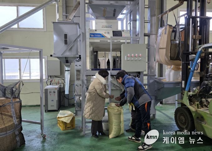 고품질 경기콩, 색채선별기로 품질과 효율 ‘두 마리 토끼’ 잡다