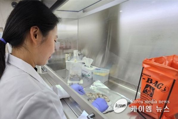 인천시, 겨울철 노로바이러스 식중독 주의 당부