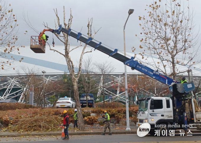 고양시 일산서구, 교통흐름 방해 가로수 전정 완료
