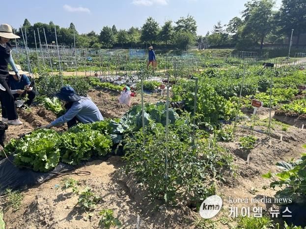 2026년 파주시 시민주말농장 신청