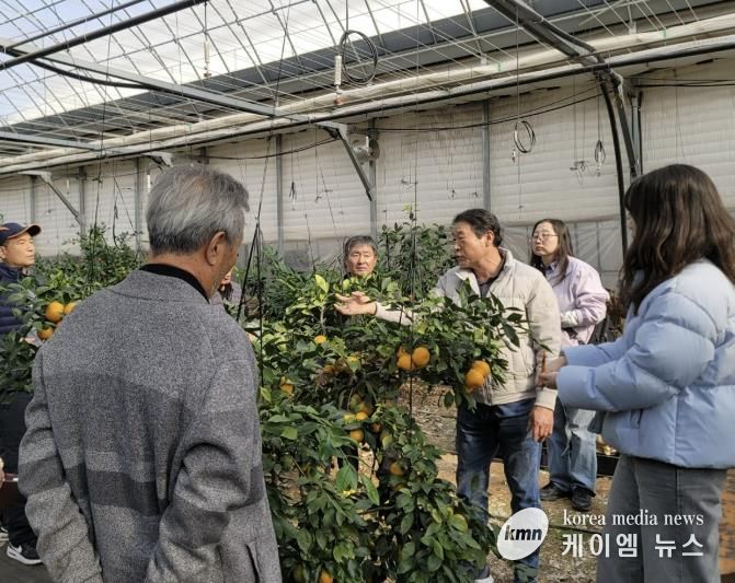 광주시, 감귤 재배 농가 대상 겨울전정 현장 자문 실시