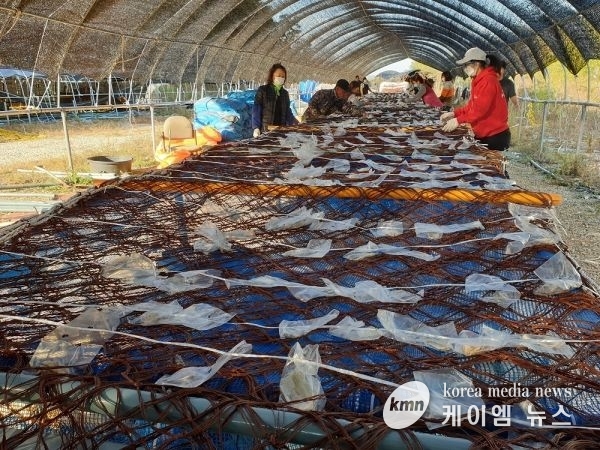 경기도, 사고·질병으로 어업활동이 어려운 어업인에게 대체인력 비용 지원