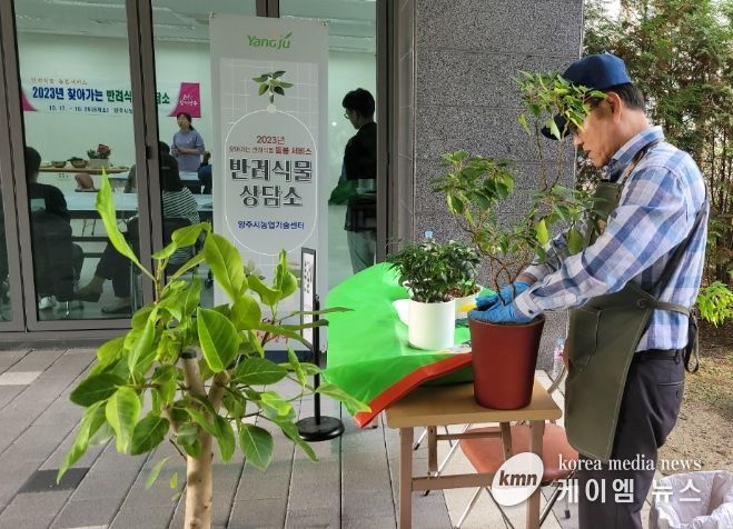 양주시, '반려 식물 상담소' 운영 시작ⵈ 시민들의 식물 돌봄 궁금증 해결한다!