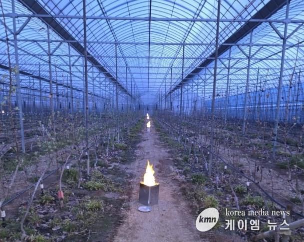 파주시, 원예특작분야 기술보급사업 대상자 모집