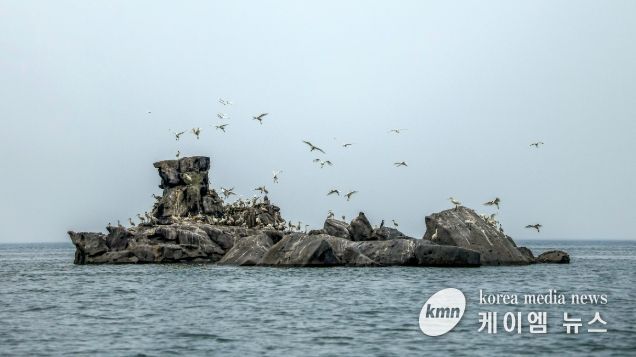 강화도 생태마을 ‘저어새 선상탐조’ 프로그램에서 관찰되는 각시바위 일대 저어새 서식지 모습