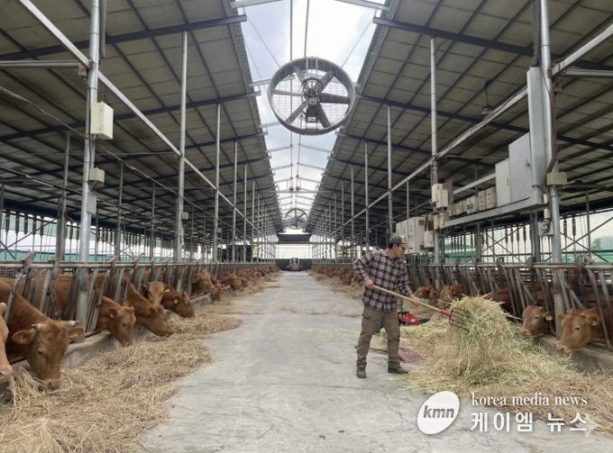 안성시, 2026년 상반기 사료구매 정책자금 지원사업 신청 접수