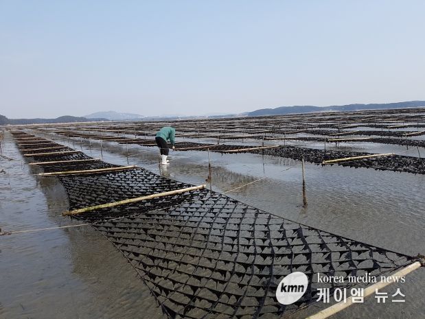 탄소 잡는 ‘검은 반도체’ 저감량 밝힌다