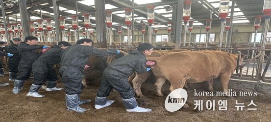 축산역량 강화교육 인공수정 과정에서 교육생들이 실습축을 활용해 실습에 참여하고 있다.