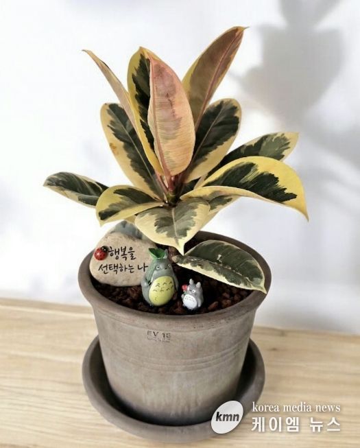 현재 성찰그룹의 완성품