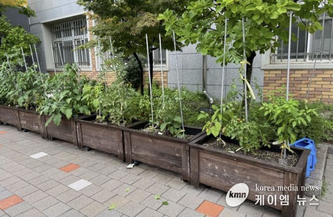 수원시 장안구, 초등학교 대상 새싹텃밭 조성 지원