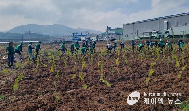 예산읍 궁평리 소나무 식재 활동