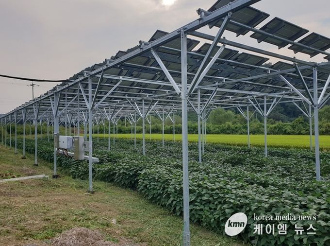 파평면 덕천리 스마트팜 영농형태양광 시설